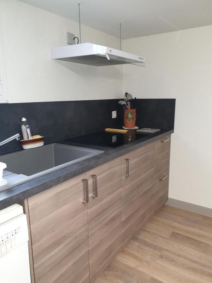 T1 Dans Maison Au Calme Réalmont Zewnętrze zdjęcie